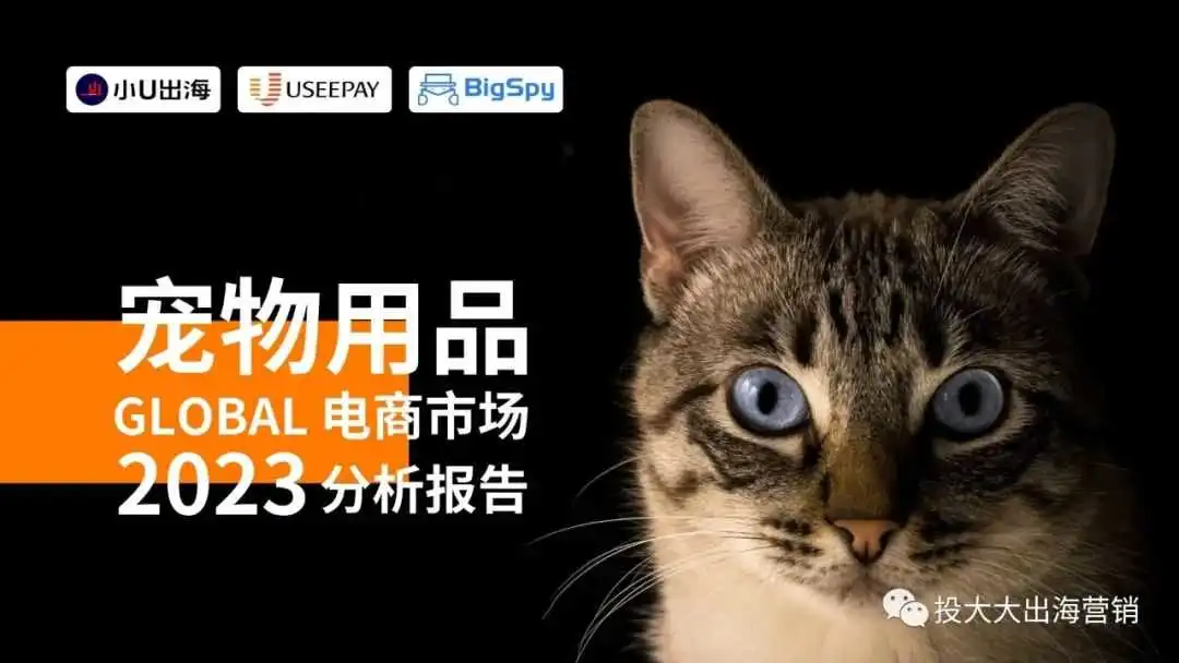 喵!这份《全球宠物用品电商市场分析报告》等你查收