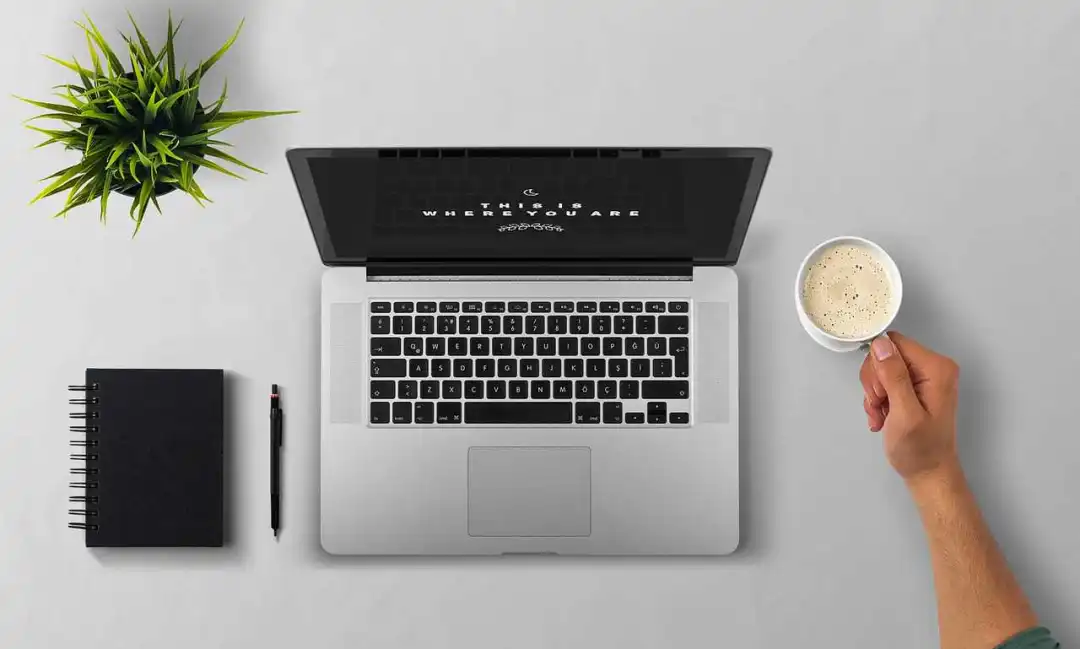 tiktok独立引流(tiktok独立站怎么搭建的)