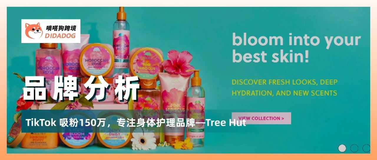 TikTok吸粉150万，Tree Hut“磨砂膏”打造差异化营收过亿