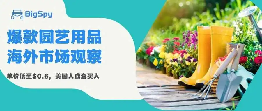 小众园艺产品月销超3000单！成本低+利润高，再次刷新纪录