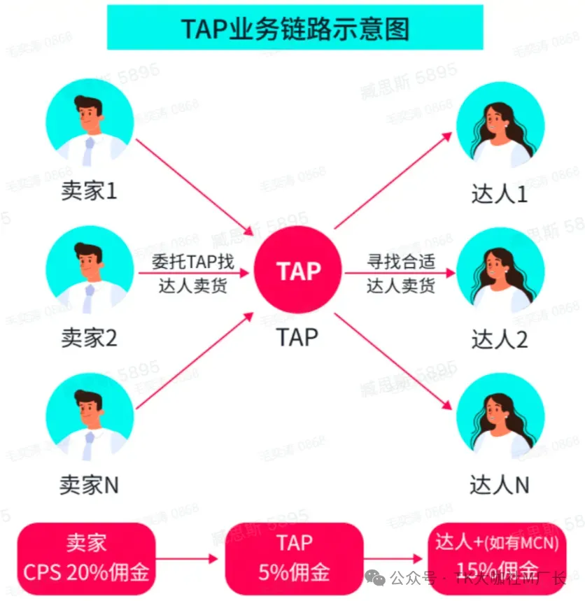 TikTok生态中:TAP、TSP、MCN有哪些区别?详细拆解TAP作用、玩法、开通方式...