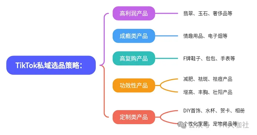 TikTok私域玩法,不同国家适合卖什么产品?如何选品,如何搞流量,如何聊单,如何回款?