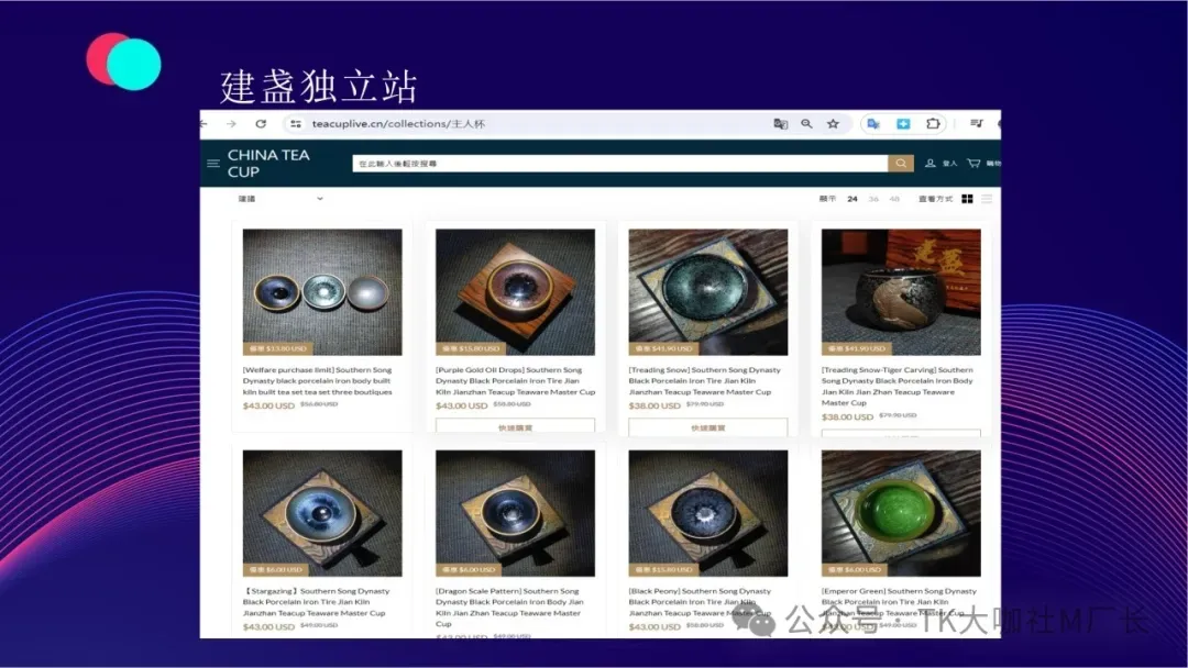 世上最全TikTok+独立站玩法攻略,7000字长文解读建站、选品、定位、投流...