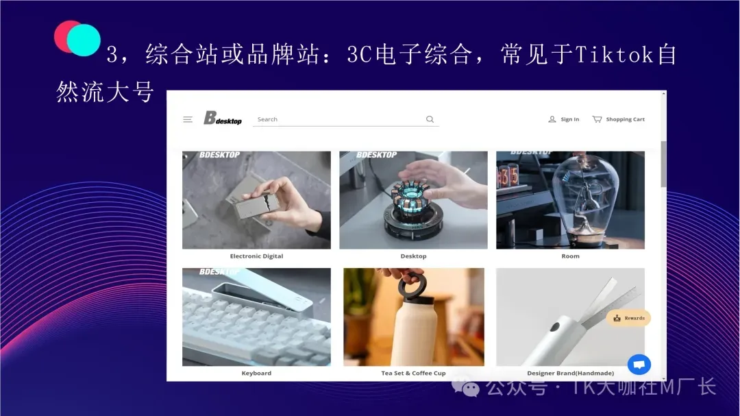 世上最全TikTok+独立站玩法攻略,7000字长文解读建站、选品、定位、投流...