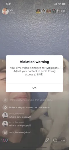 TikTok商家自行申诉该如何操作?