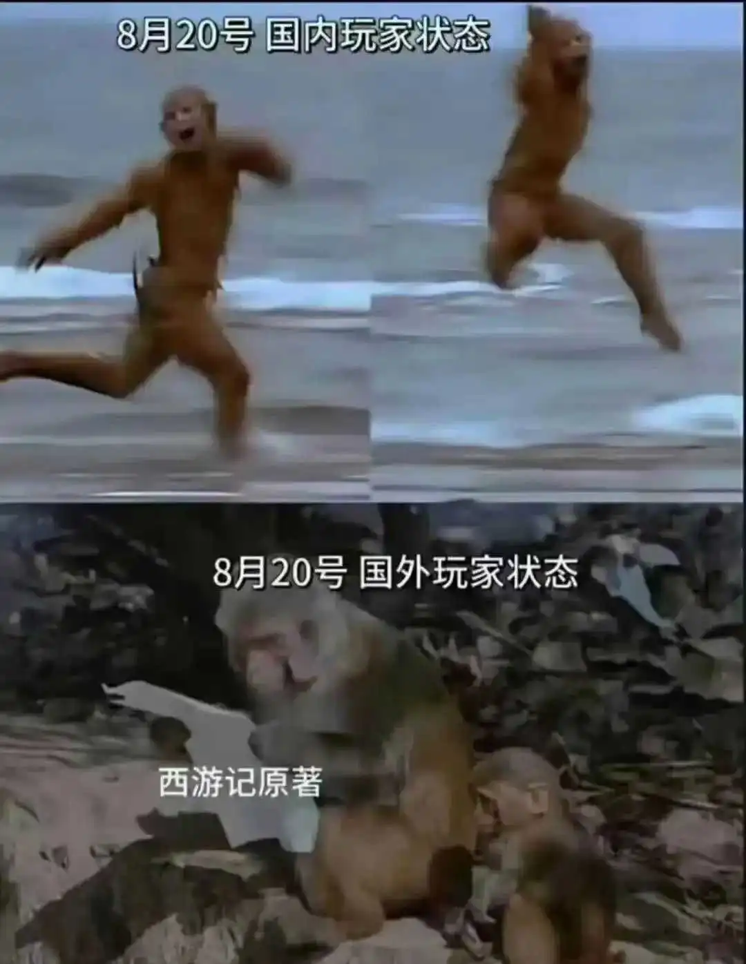 《黑神话:悟空》引爆全球,大量卖家上新“蹭热度”!