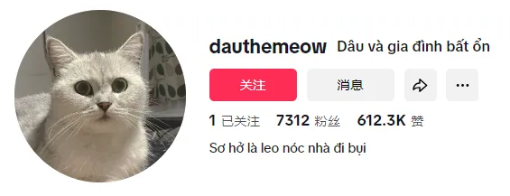 【本周TT美国话题趋势】TikTok热门话题“meow”:萌宠背后的宠物品牌营销大机遇