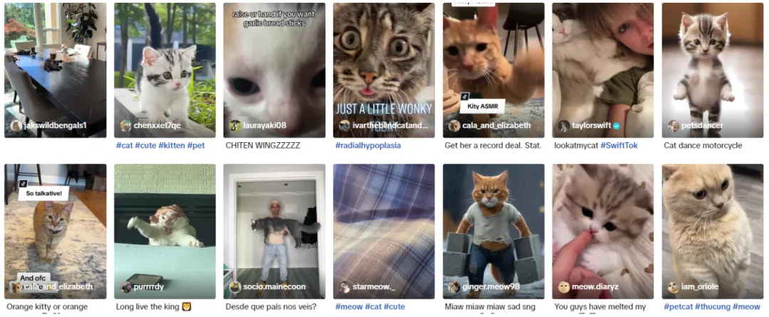 【本周TT美国话题趋势】TikTok热门话题“meow”:萌宠背后的宠物品牌营销大机遇
