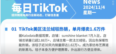 【TikTok日报24/11/04】美区法兰绒毯爆卖1.6万！AI推荐影响东南亚购物！📢🚀🔥🌿