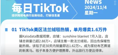 【TikTok日报24/11/04】美区法兰绒毯爆卖1.6万!AI推荐影响东南亚购物!📢🚀🔥🌿