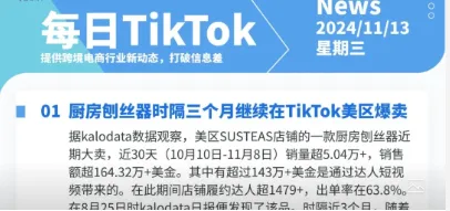 【TikTok日报24/11/13】厨房刨丝器持续爆卖!#lipcombo美妆大热!警惕假冒亚马逊!速卖通“11.11”启动!