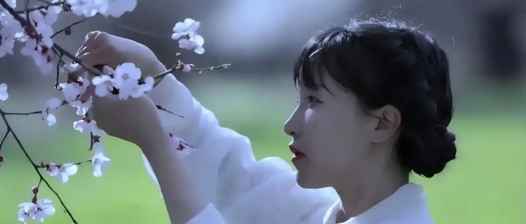 TikTok播放量超百万,李子柒归来仍是顶流!