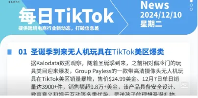 【TikTok日报24/12/10】TikTok封禁令维持,美国退货金额新高!珠宝首饰进出口增长!!📢🚀🔥🌿