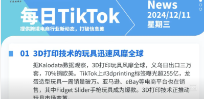 【TikTok日报24/12/11】TikTok紧急动议阻止禁令！西班牙站点上线！亚马逊开放爱尔兰站点！📢🚀🔥🌿