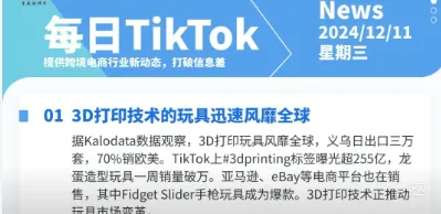 【TikTok日报24/12/11】TikTok紧急动议阻止禁令!西班牙站点上线!亚马逊开放爱尔兰站点!📢🚀🔥🌿
