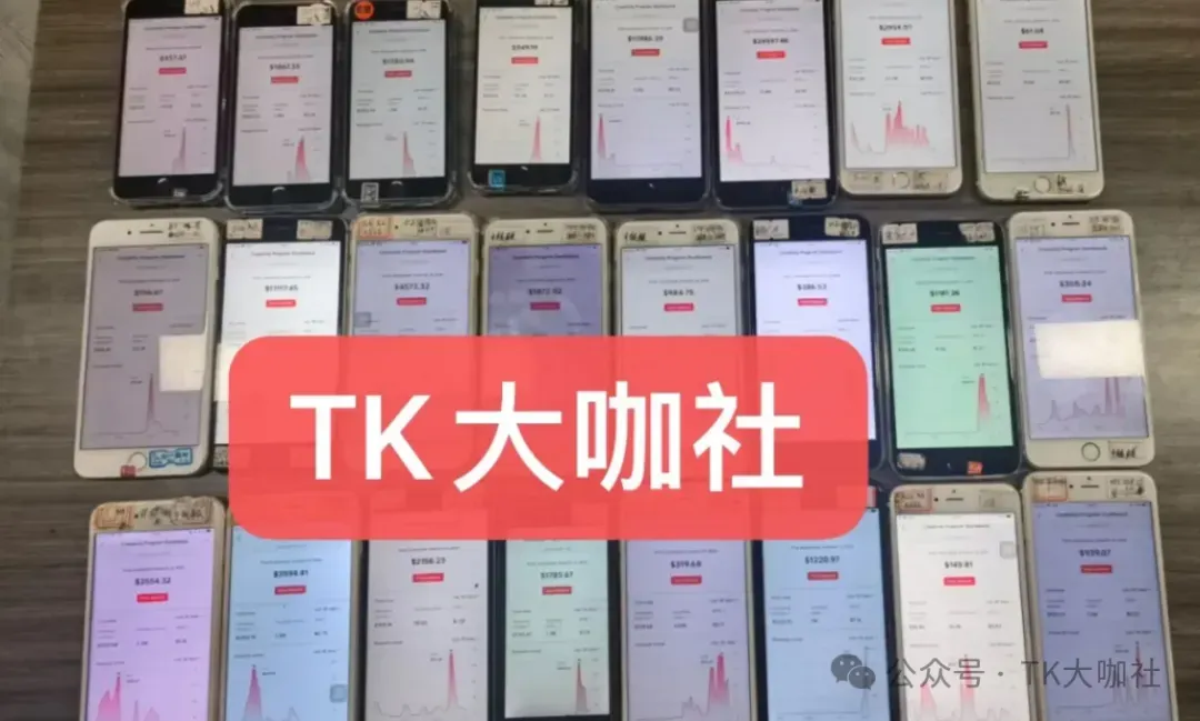 TikTok还剩33天极限自救!