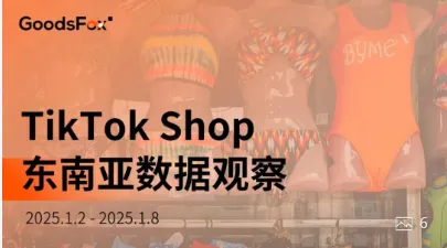 TikTok东南亚:平均日销上万件,真有那么好赚钱?