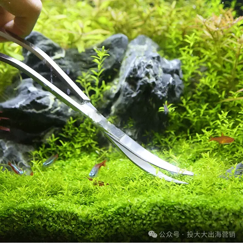 月销1.2万+,BSR冲到第二!小众宠物赛道爆品频出