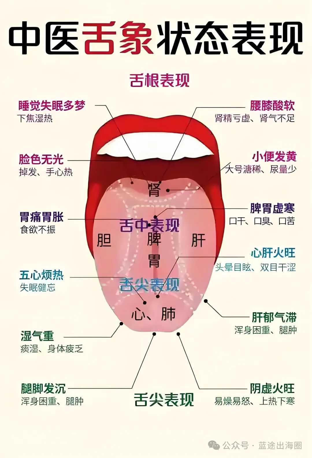 中医出海真的好做么？