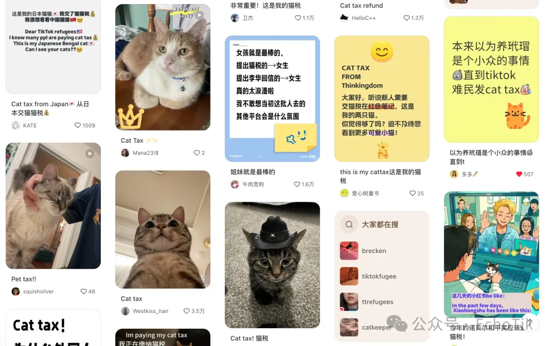 毛利率高品!这家小店靠售卖宠物防泥地垫在TikTok美国站卖出近300万美金!