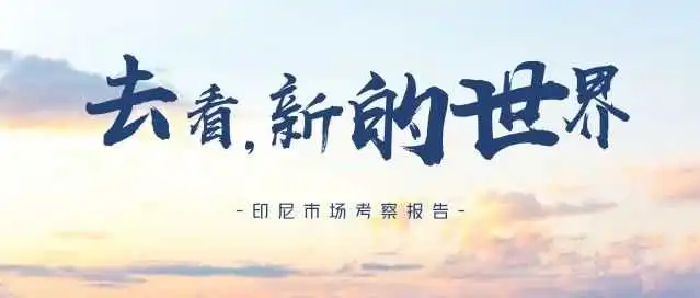 4000字长文,东盟第一大经济体—印尼为什么会爆发?