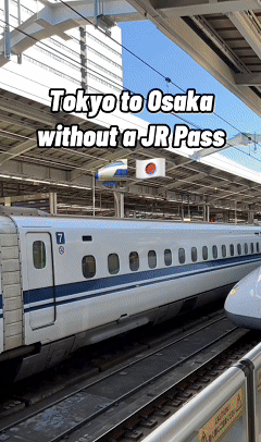 趋势洞察｜3 步解析！让 TikTok 视频转化翻倍的核心方法，流量变现有着落！