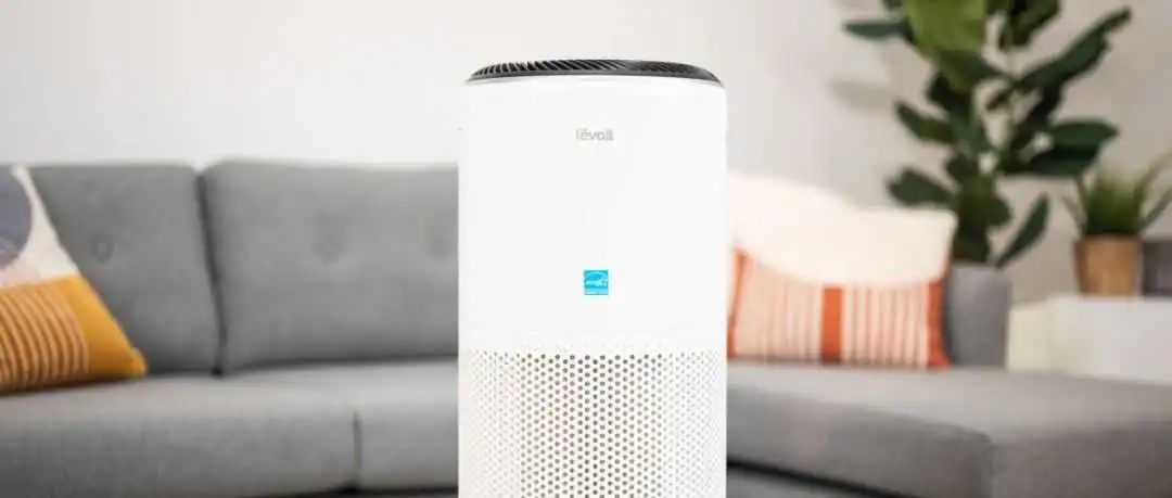 Levoit月销50万台加湿器,打爆美国市场,这三招值得每个中国品牌抄作业