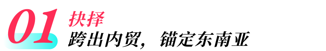 破局东南亚：国内多类目大卖又杀出“黑马”！