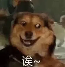 这些在小红薯热推的跨境商品，在海外真的卖得好？