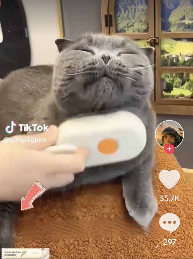 仅2个单品，月销1.3万件！这家墨西哥TikTok宠物用品店有何魔力？