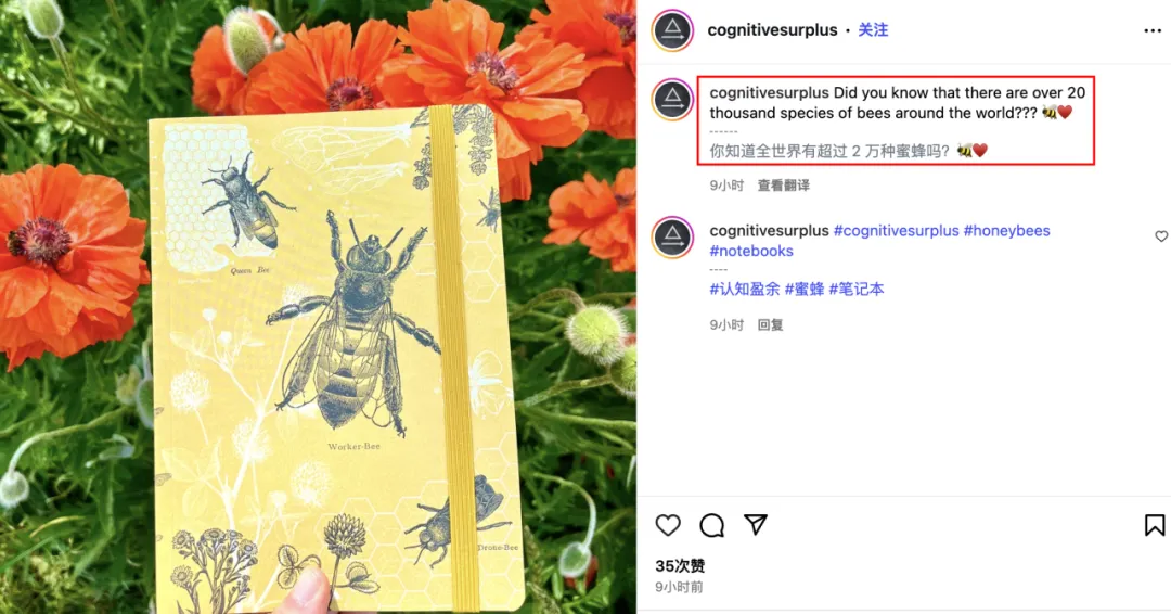 2人小作坊逆袭成明星卖家!看Cognitive Surplus如何把有毒植物印成爆款