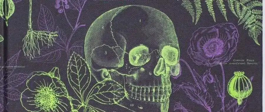 2人小作坊逆袭成明星卖家！看Cognitive Surplus如何把有毒植物印成爆款