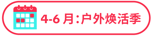 77% 用户边刷边买!TikTok 正在成为家居消费新入口