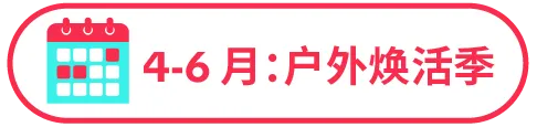 77% 用户边刷边买!TikTok 正在成为家居消费新入口