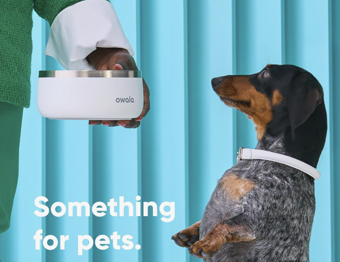 逆袭Stanley登顶全美销冠!这个保温杯靠多巴胺配色火出圈