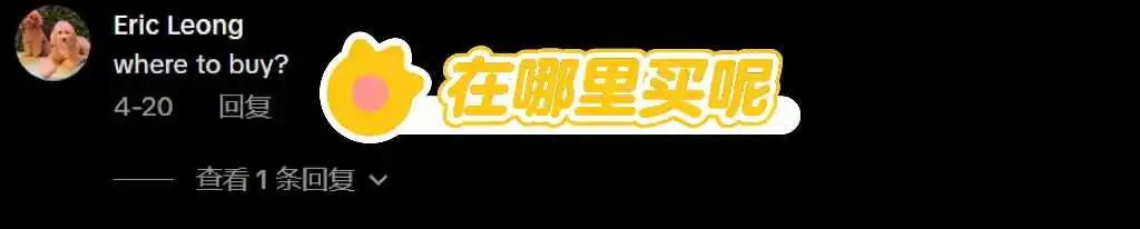 别为跨境踩坑交学费!新加坡香薰扩散器爆火的启示:精准投入才是王道