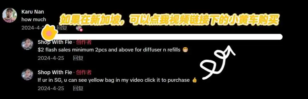 别为跨境踩坑交学费!新加坡香薰扩散器爆火的启示:精准投入才是王道