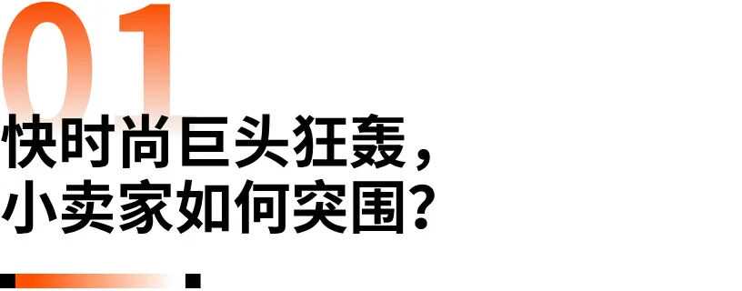 2025黑五网一前瞻：有哪些潜力爆品？