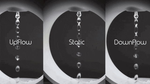 单价$600+加湿器众筹达成率108倍，活苔藓成最大卖点