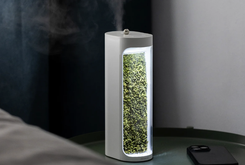单价$600+加湿器众筹达成率108倍，活苔藓成最大卖点