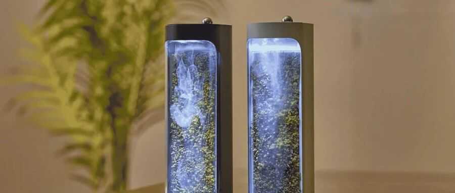 单价$600+加湿器众筹达成率108倍,活苔藓成最大卖点