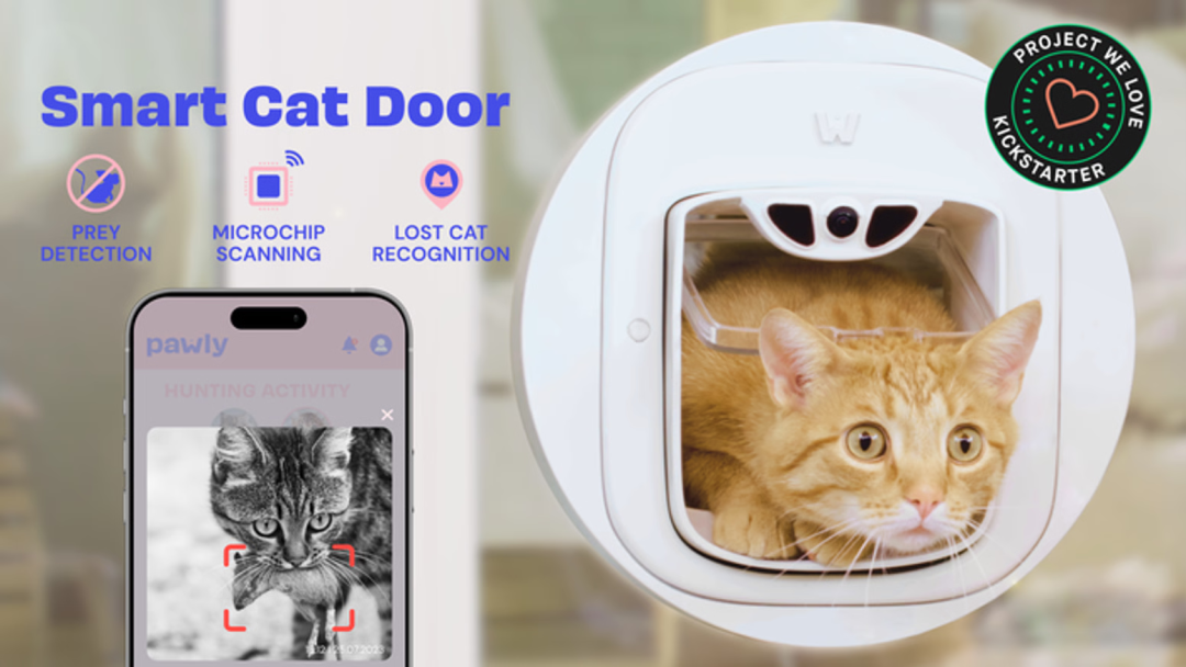 6100%搜索飙升,AI猫门火了,单价1300+卷的不是功能是情绪价值