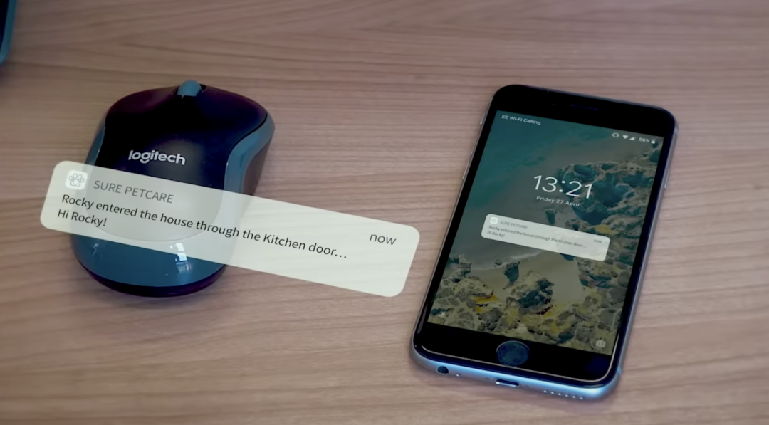 6100%搜索飙升,AI猫门火了,单价1300+卷的不是功能是情绪价值