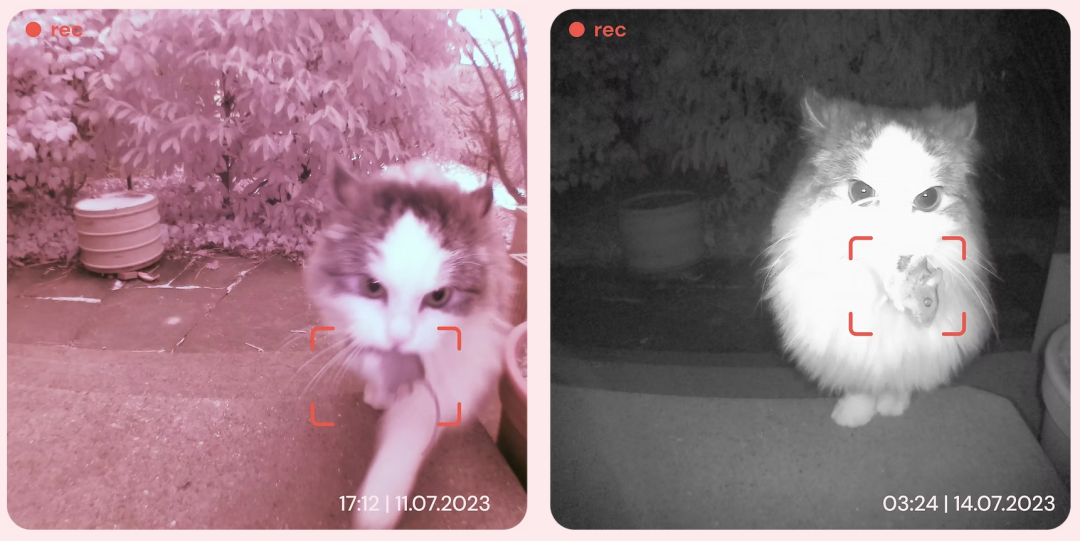 6100%搜索飙升,AI猫门火了,单价1300+卷的不是功能是情绪价值