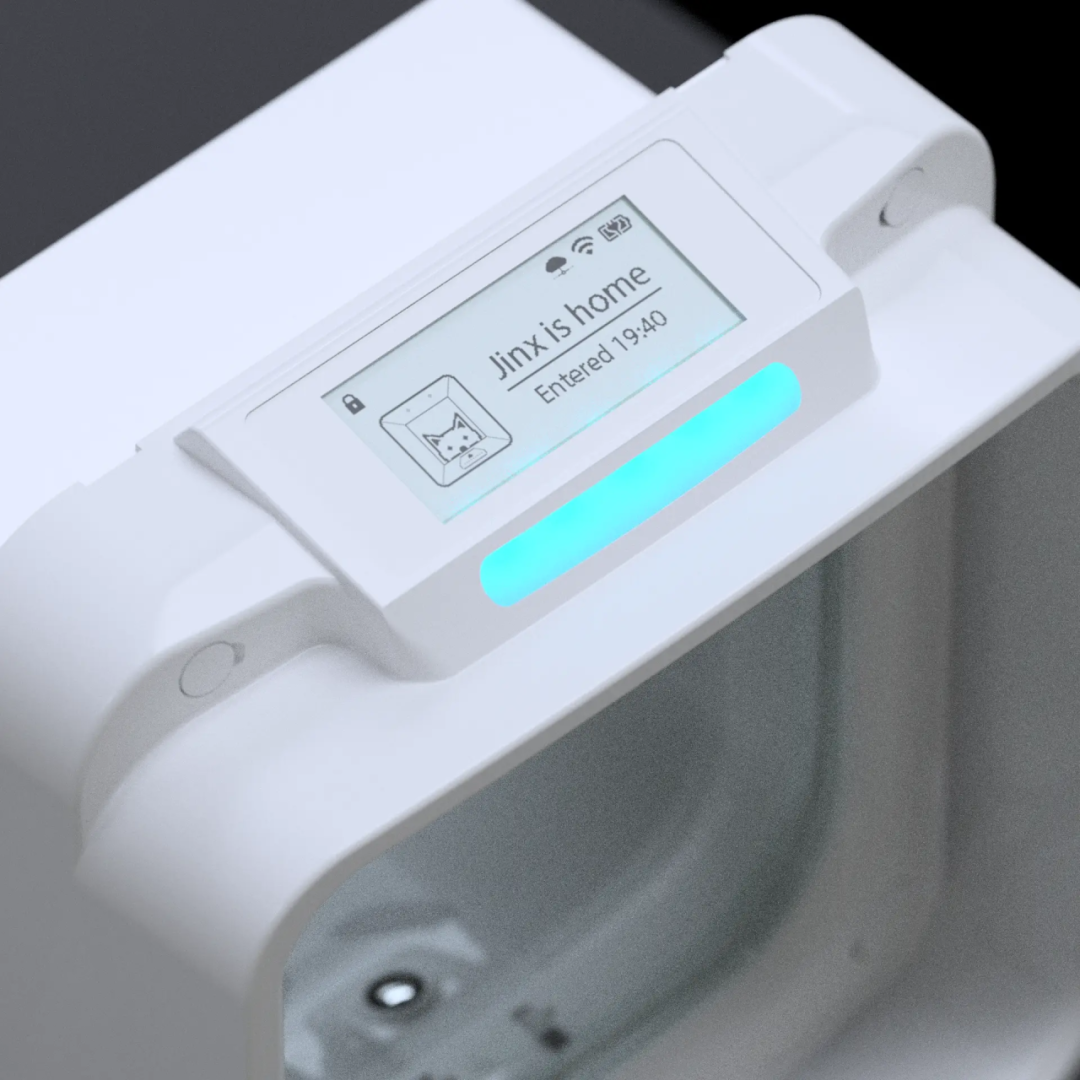 6100%搜索飙升,AI猫门火了,单价1300+卷的不是功能是情绪价值