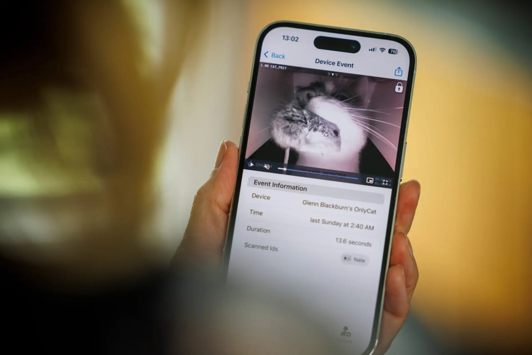 6100%搜索飙升,AI猫门火了,单价1300+卷的不是功能是情绪价值