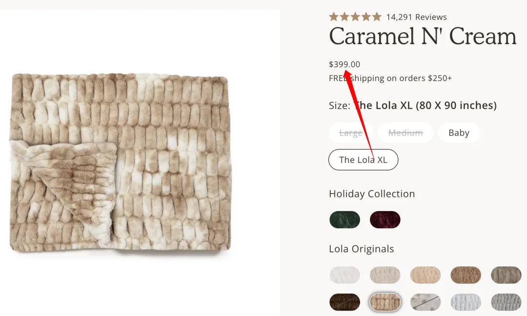 $399毛毯单月狂卖1000万美金,黑五投流狠角色