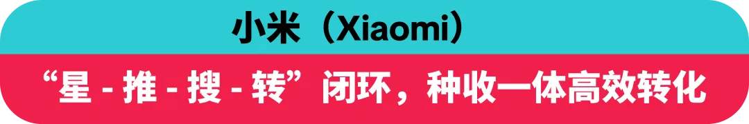 创意领航！TikTok Creative Success 2025 揭示全球化营销新趋势