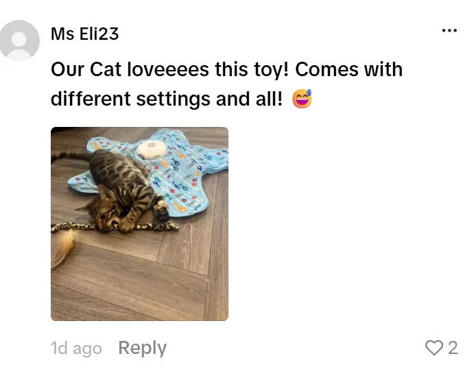TikTok一款躲猫猫宠物玩具火爆出圈，爆卖超220万GMV