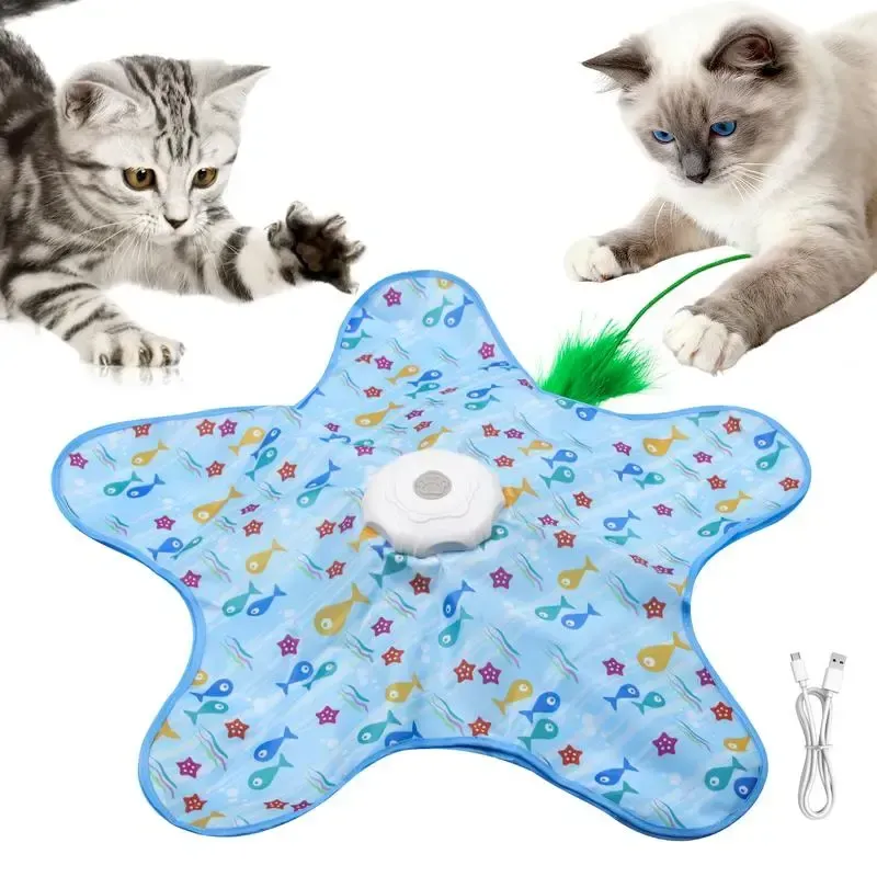 TikTok一款躲猫猫宠物玩具火爆出圈,爆卖超220万GMV